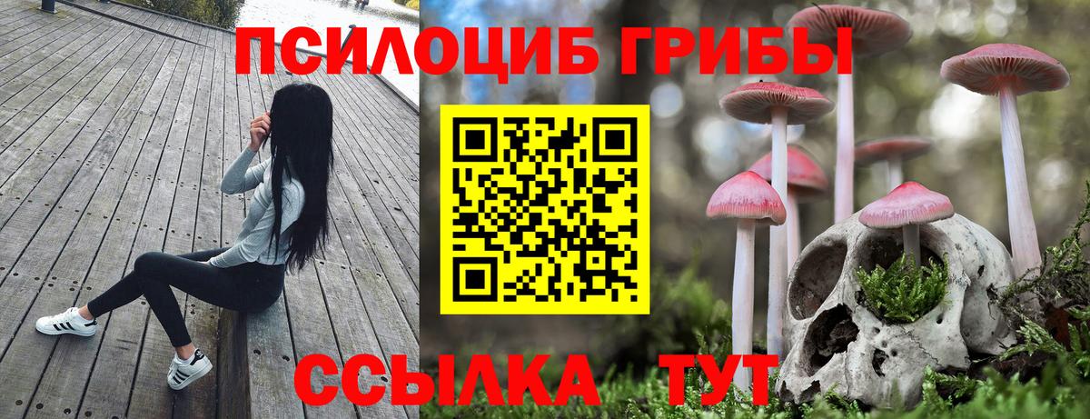 купить наркотик  Вход с VPN  Бутурлиновка  Галлюциногенные грибы MAGIC MUSHROOMS 
